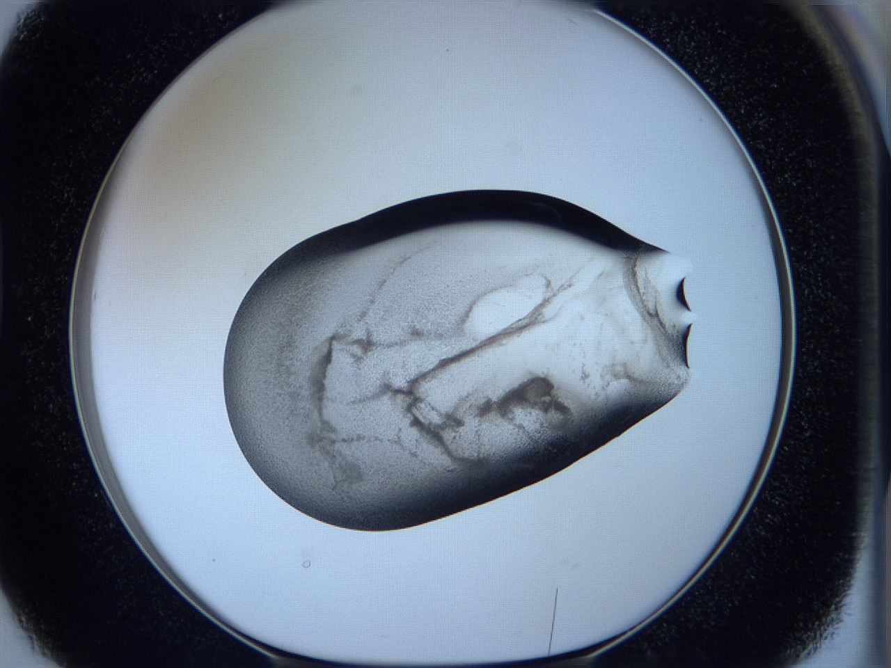 05vx_D2_ImagerDefaults_3.jpg