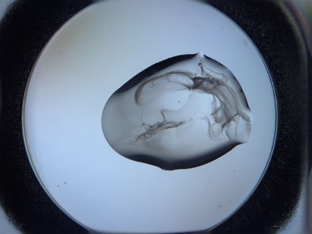 05vx_D3_ImagerDefaults_3.jpg