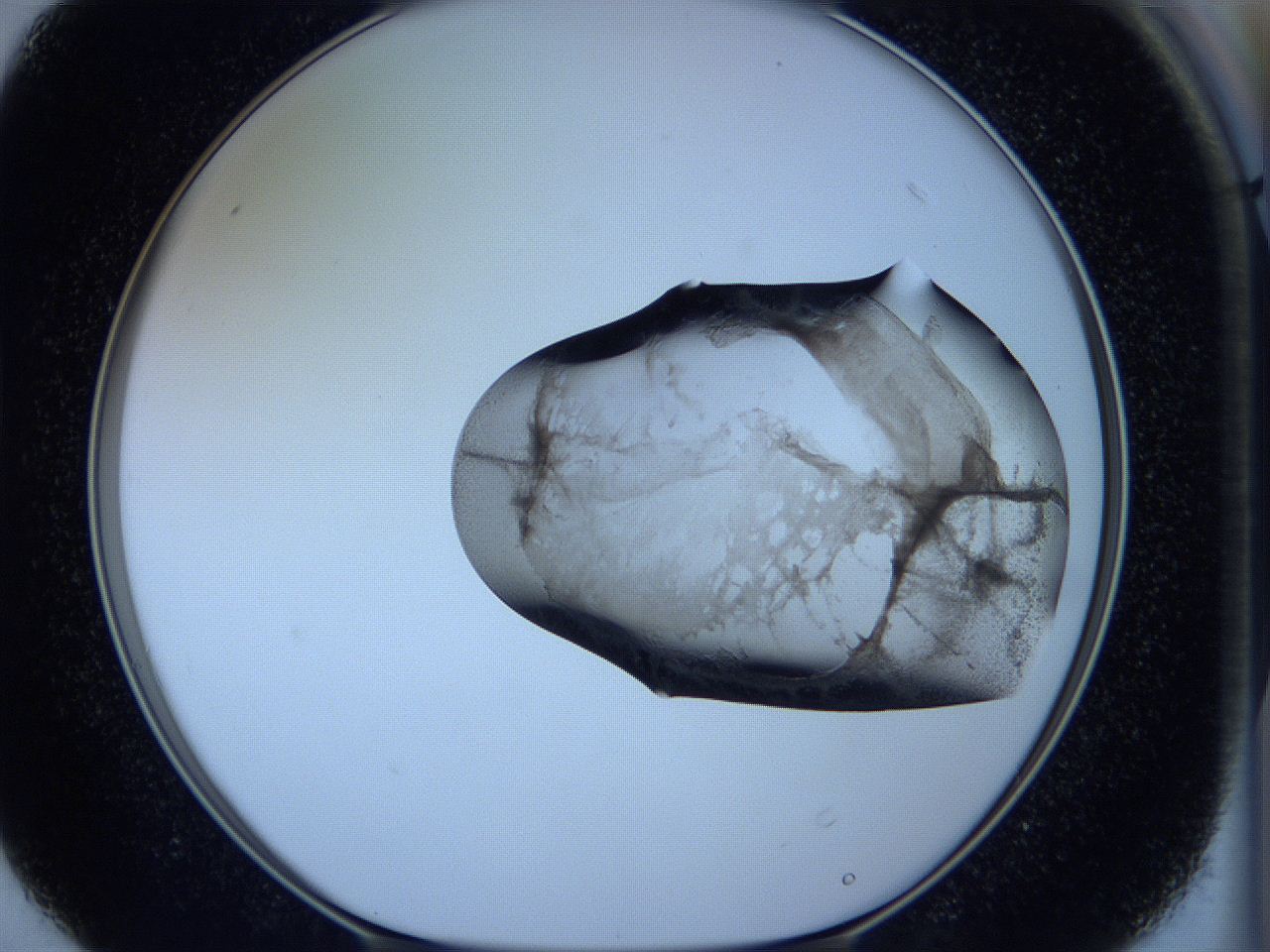 05vx_D4_ImagerDefaults_3.jpg