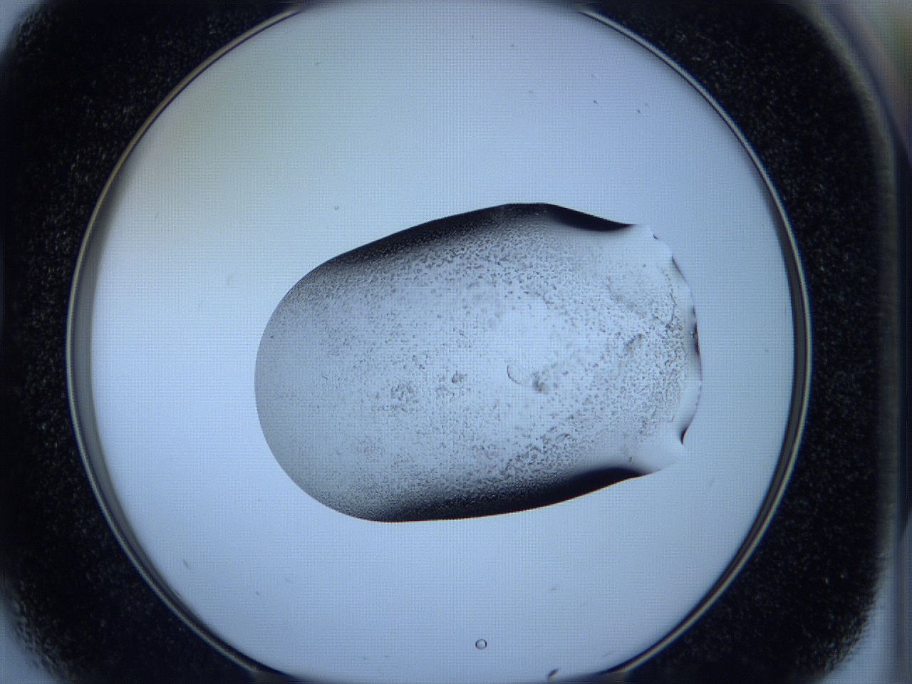 05vx_D5_ImagerDefaults_3.jpg
