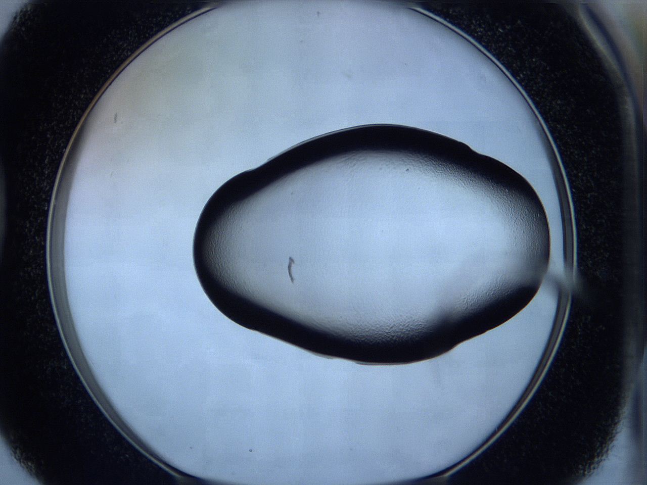 05vx_D6_ImagerDefaults_2.jpg