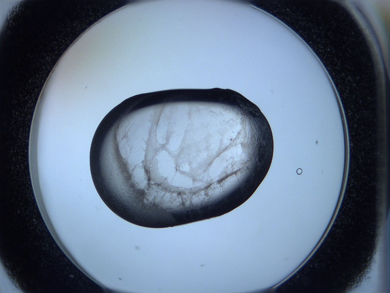 05vx_D7_ImagerDefaults_3.jpg