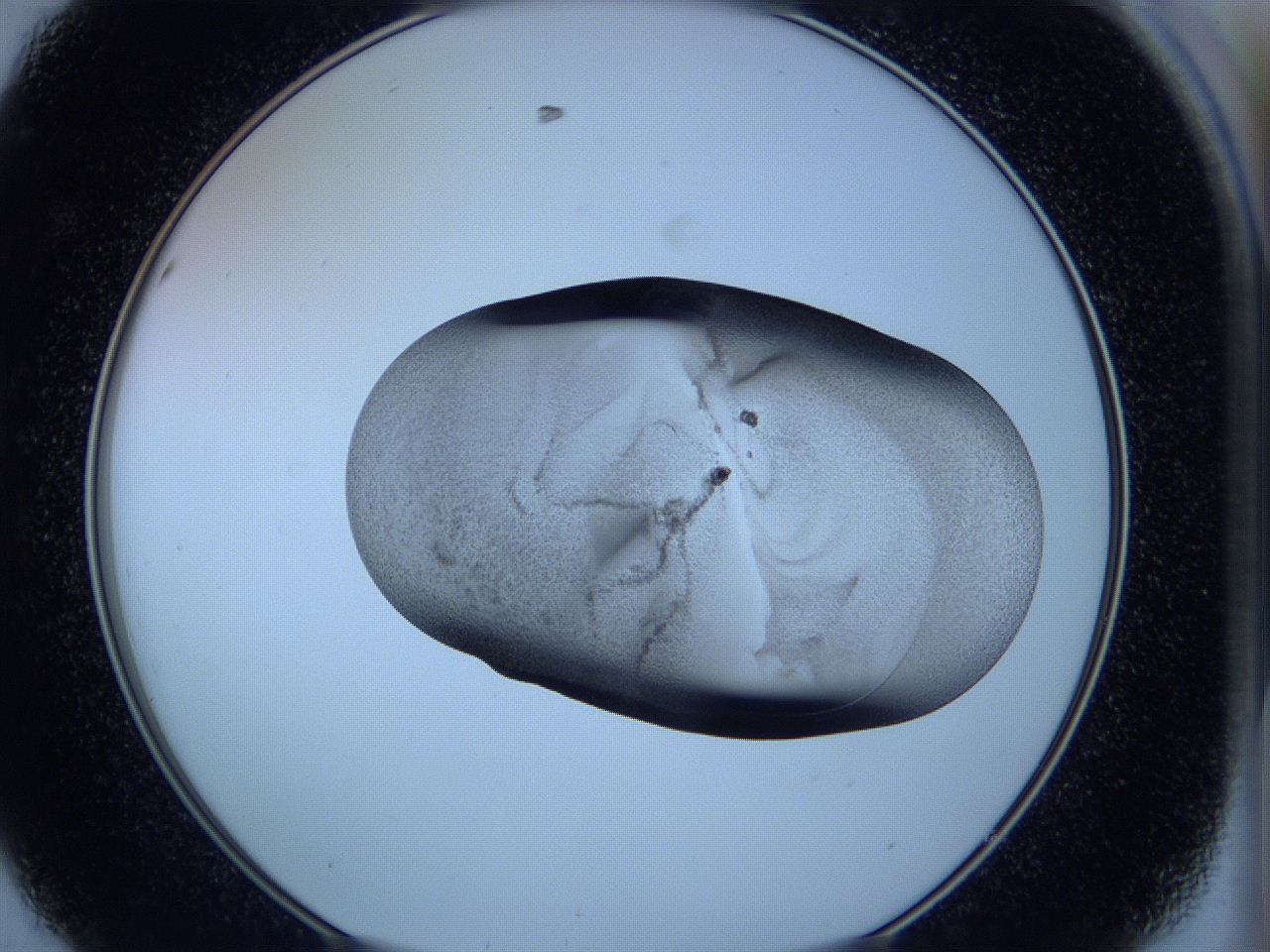 05vx_D8_ImagerDefaults_3.jpg