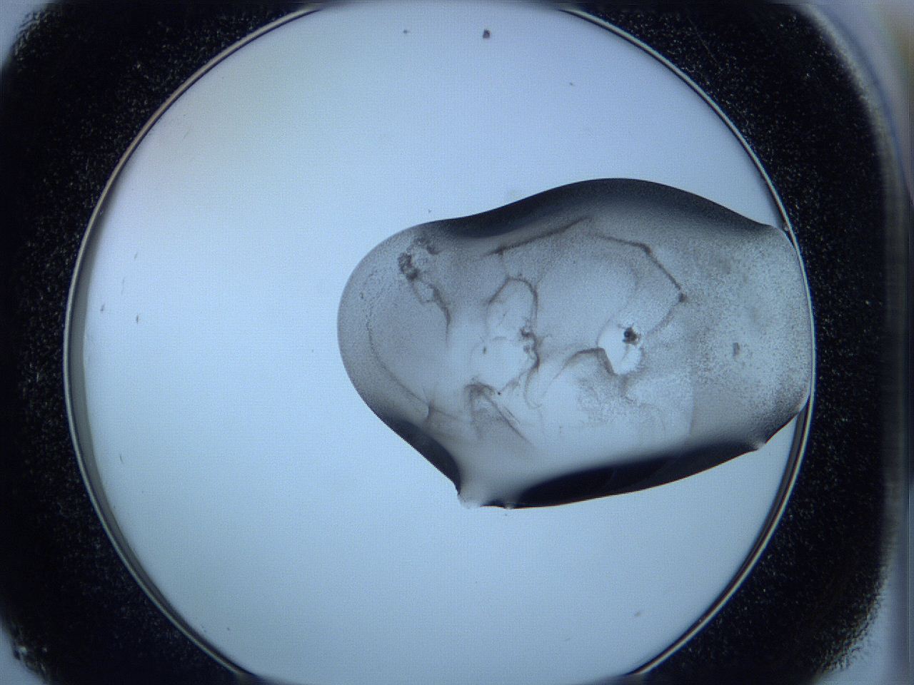05vx_D9_ImagerDefaults_3.jpg
