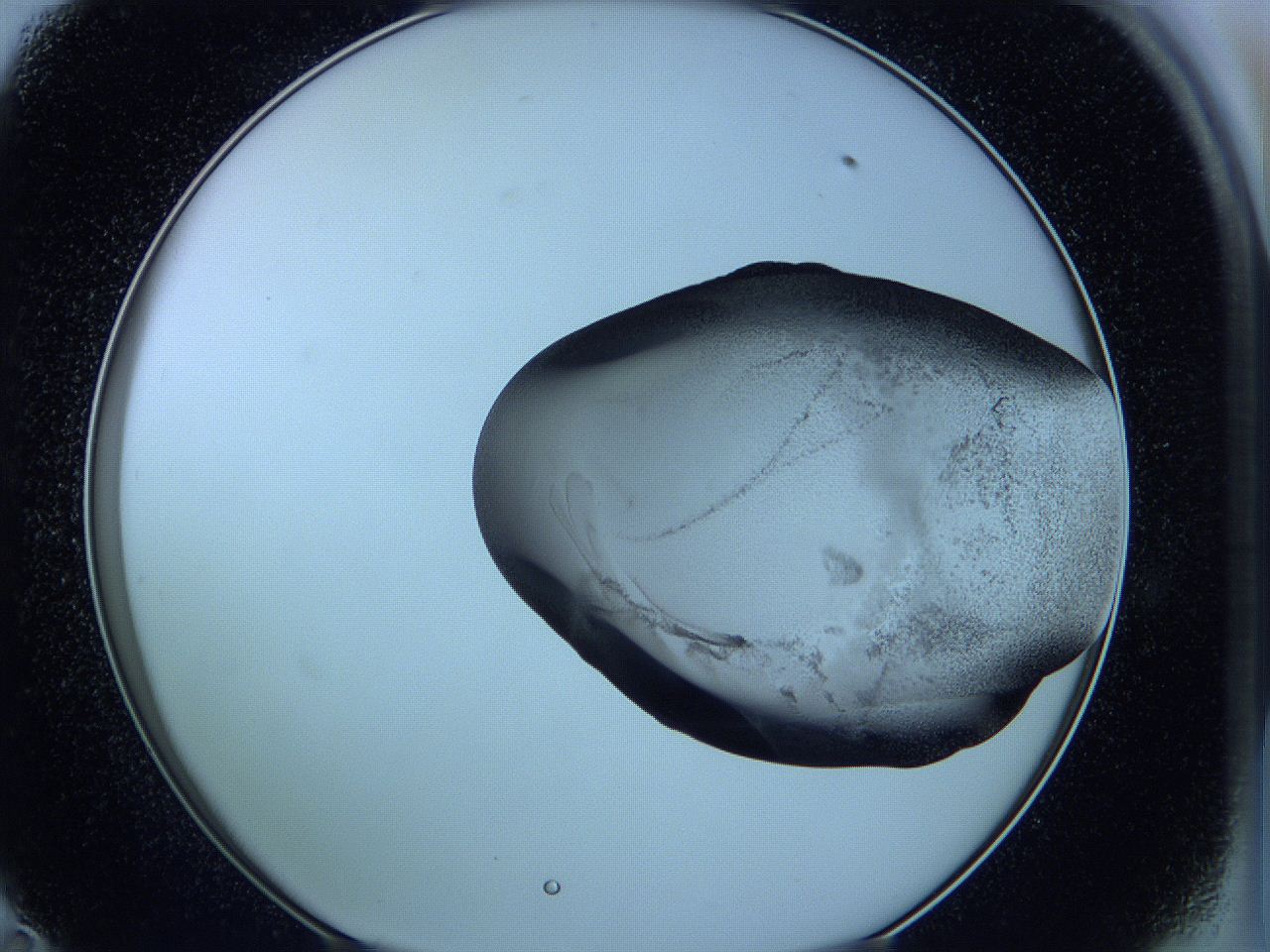 05vx_D11_ImagerDefaults_3.jpg