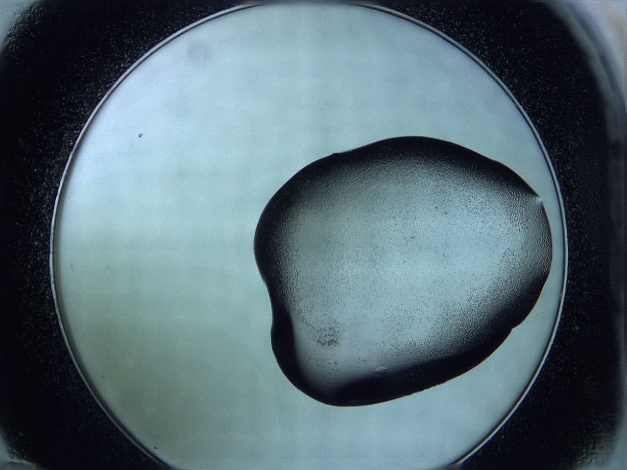 05vx_D12_ImagerDefaults_3.jpg