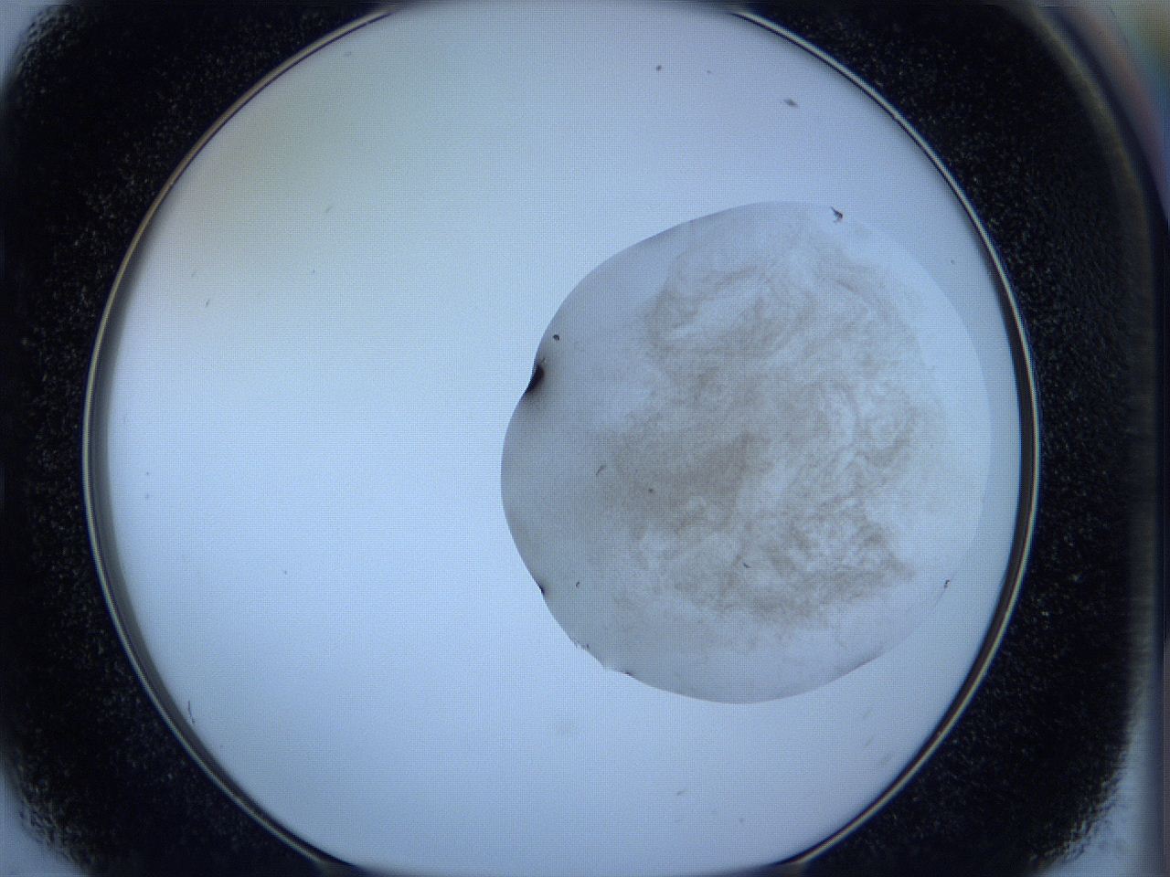 05vx_E6_ImagerDefaults_3.jpg