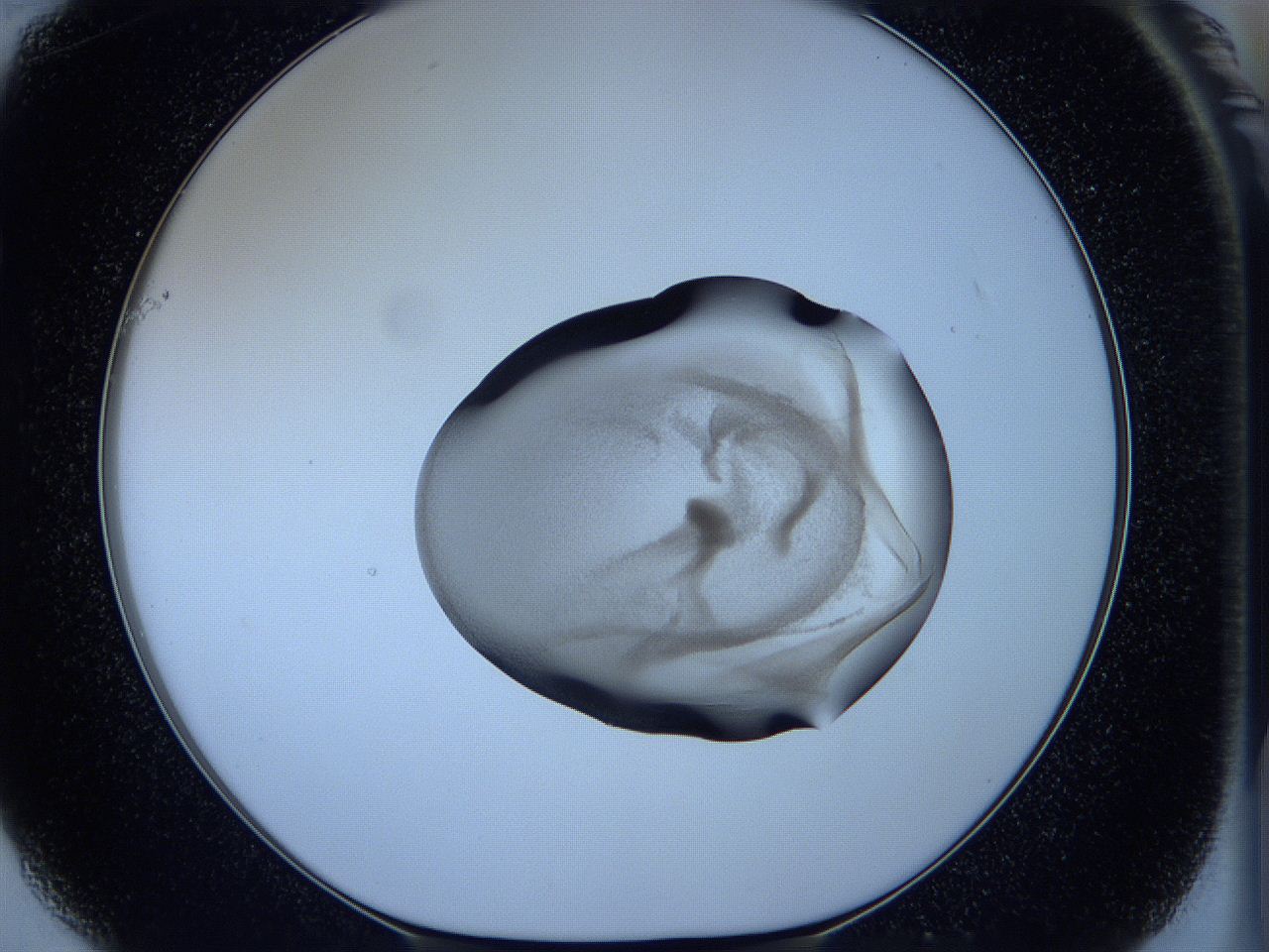 05vx_F1_ImagerDefaults_3.jpg