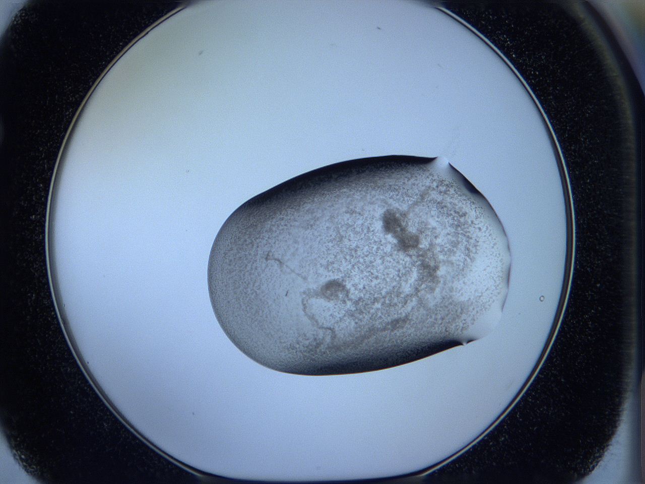 05vx_F2_ImagerDefaults_3.jpg