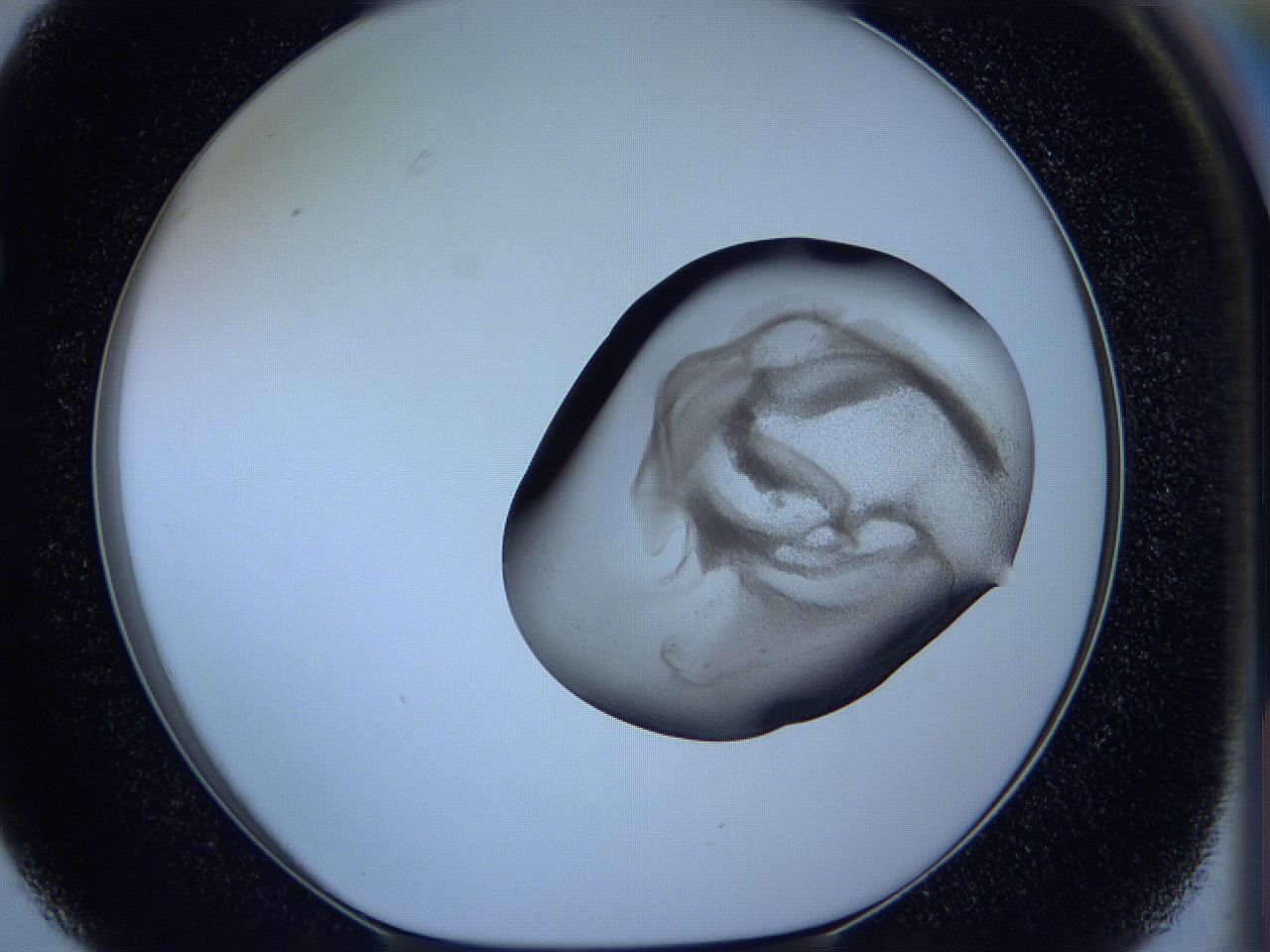 05vx_F3_ImagerDefaults_3.jpg
