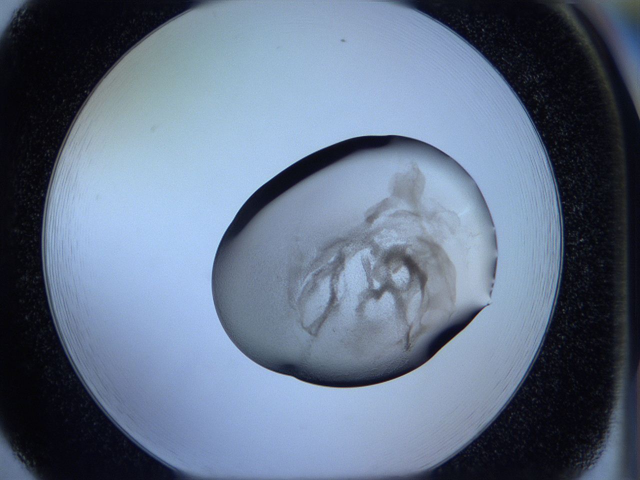 05vx_F5_ImagerDefaults_3.jpg