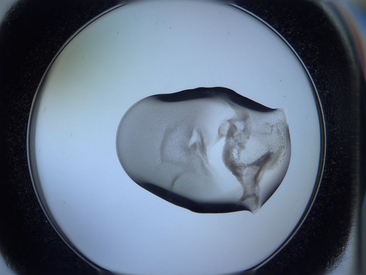 05vx_F7_ImagerDefaults_3.jpg