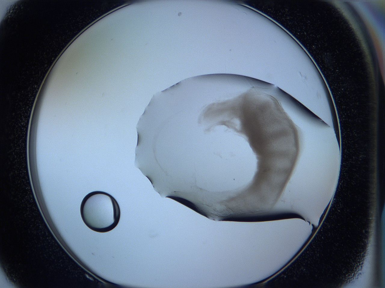 05vx_F8_ImagerDefaults_3.jpg