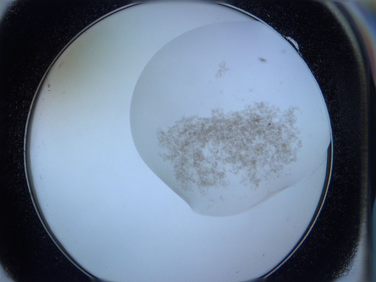05vx_F9_ImagerDefaults_3.jpg