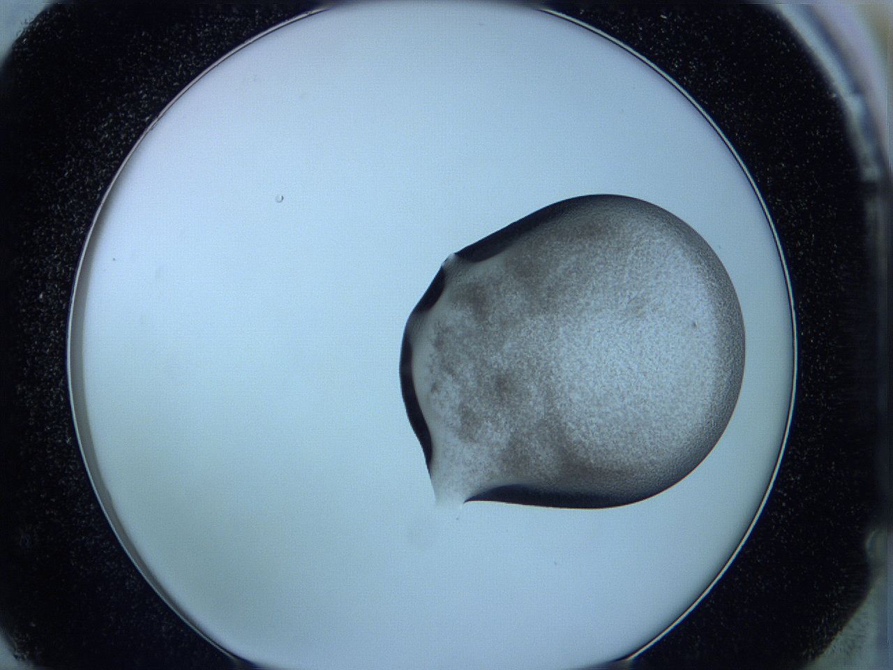 05vx_F12_ImagerDefaults_3.jpg