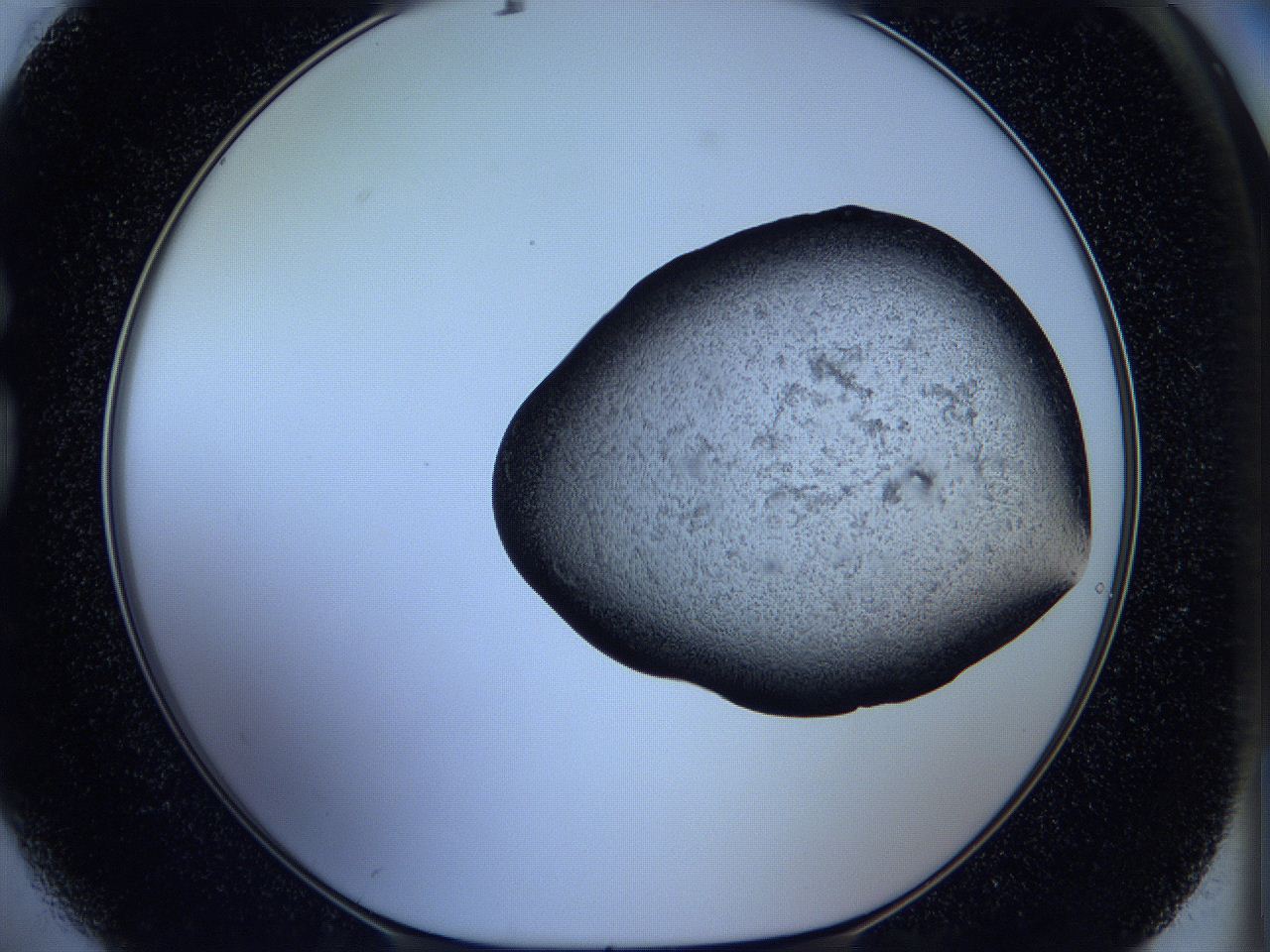 05vx_G2_ImagerDefaults_3.jpg