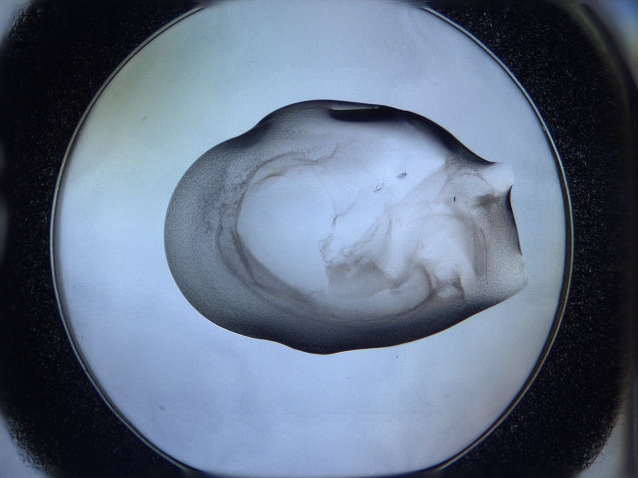 05vx_G3_ImagerDefaults_3.jpg