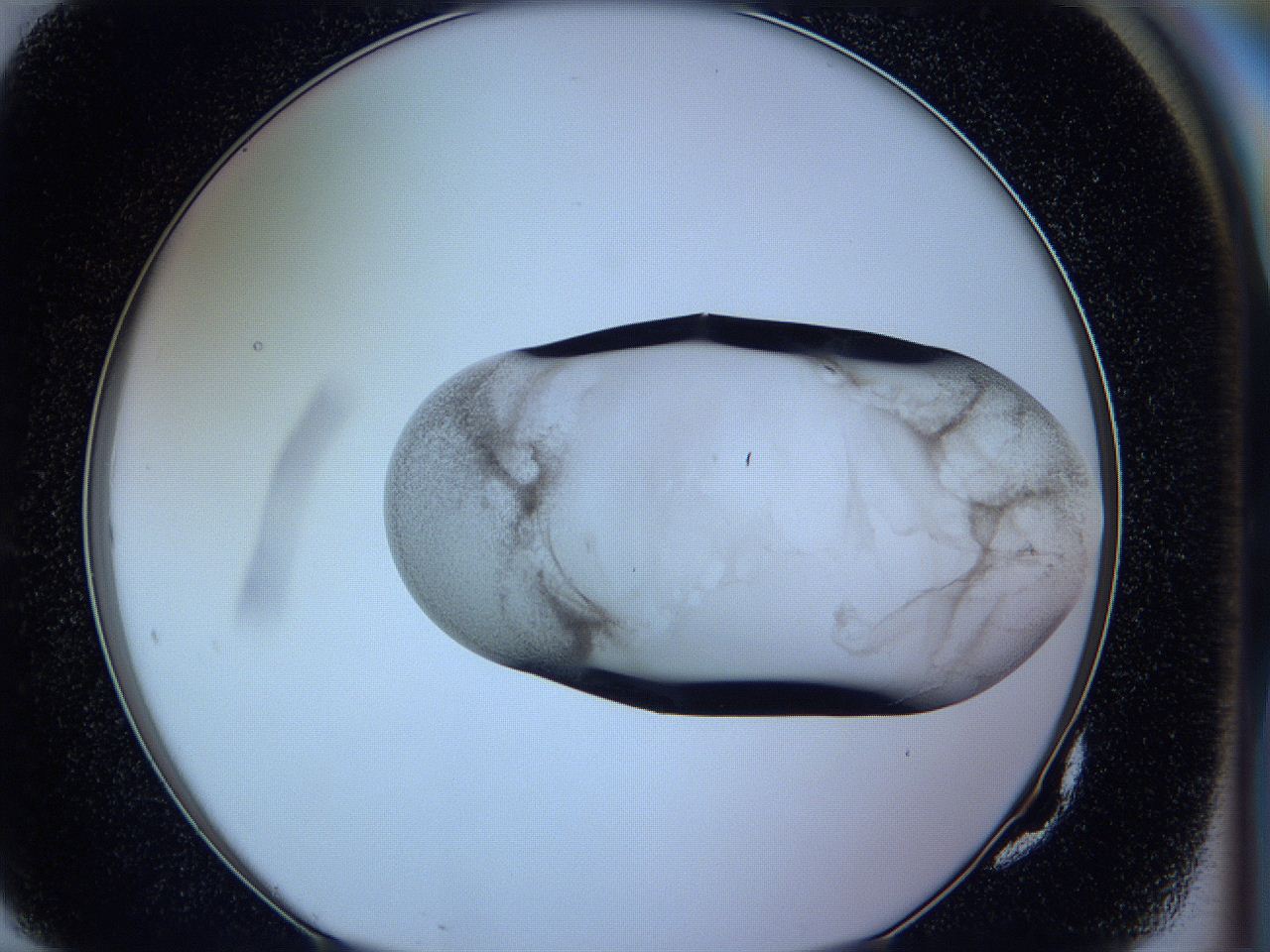 05vx_G10_ImagerDefaults_3.jpg