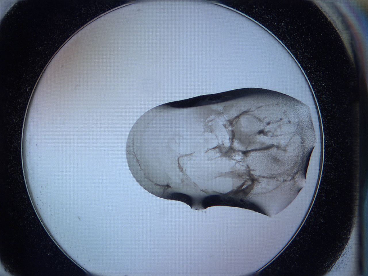 05vx_G11_ImagerDefaults_3.jpg