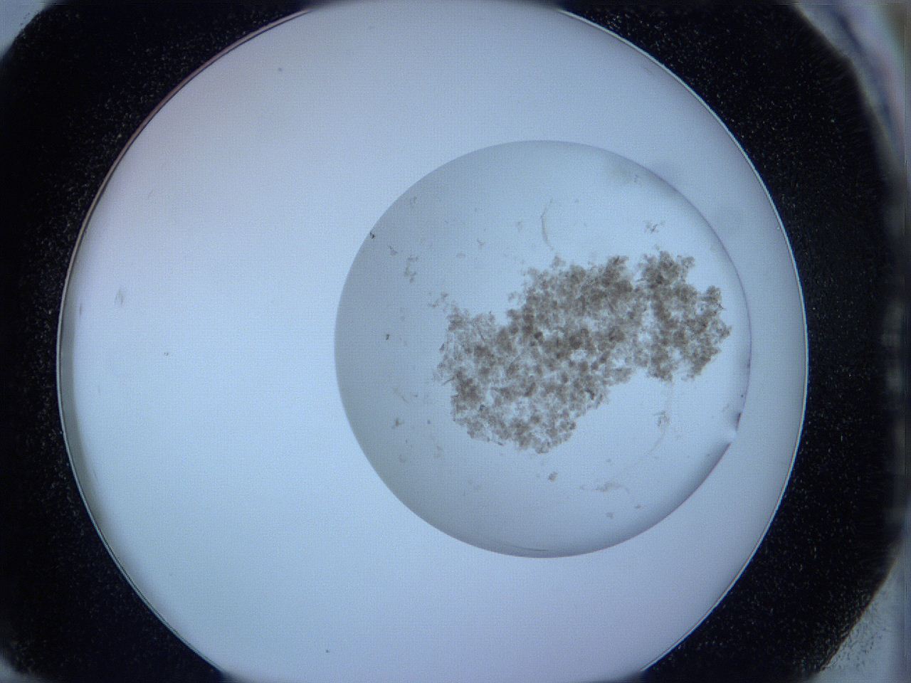 05vx_G12_ImagerDefaults_3.jpg