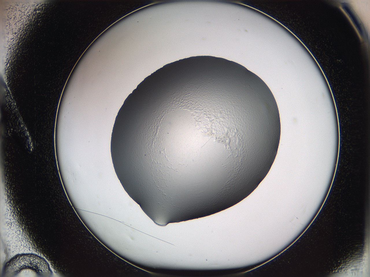 05vy_A10_ImagerDefaults_2.jpg