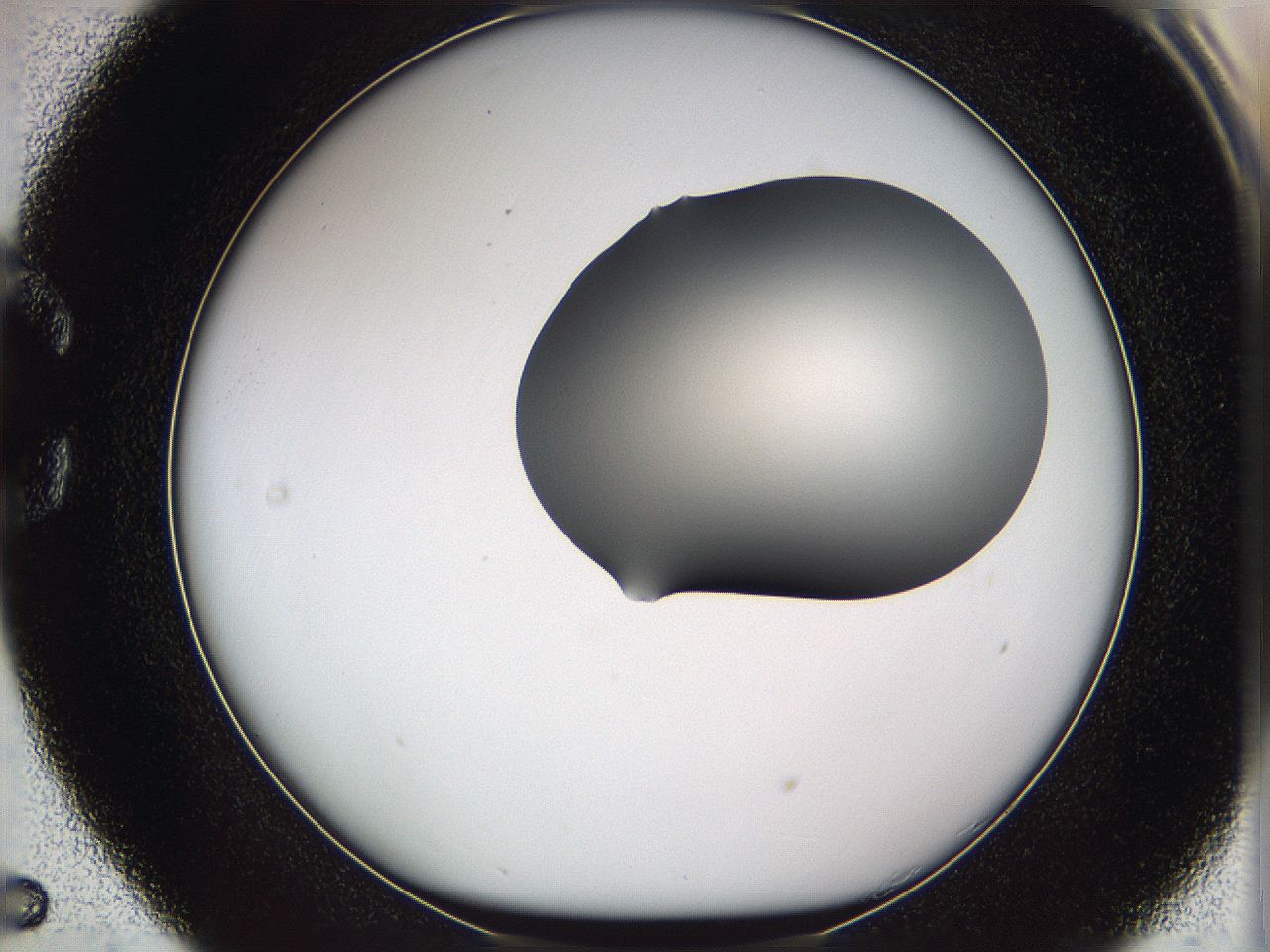 05vy_C5_ImagerDefaults_1.jpg