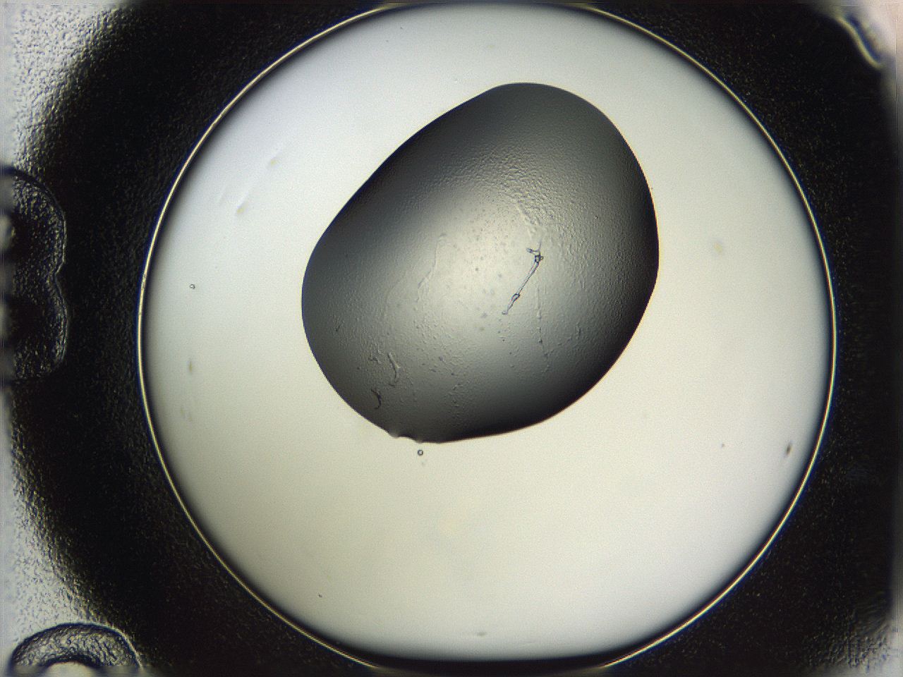 05vy_B12_ImagerDefaults_2.jpg