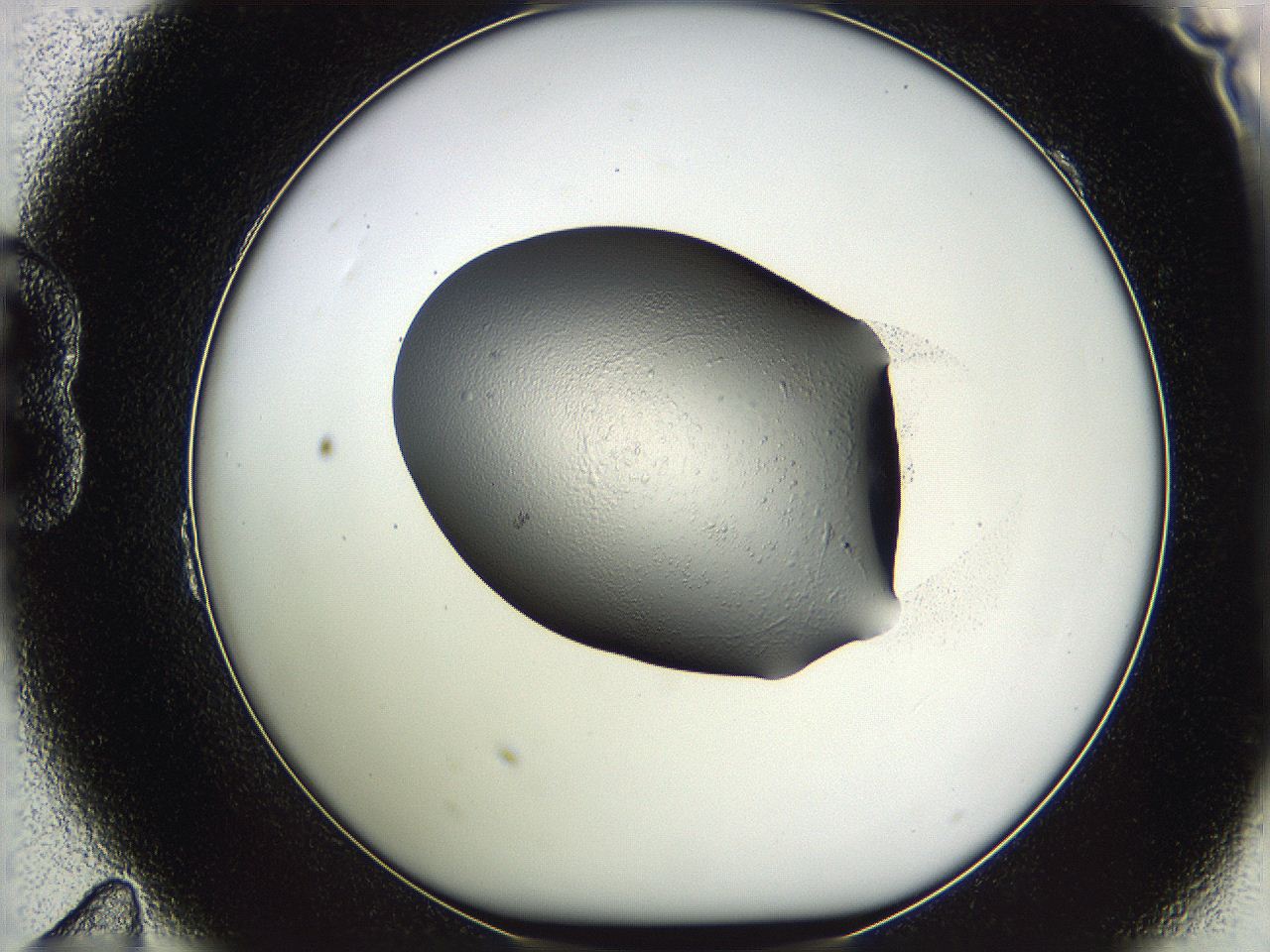 05vy_B11_ImagerDefaults_2.jpg