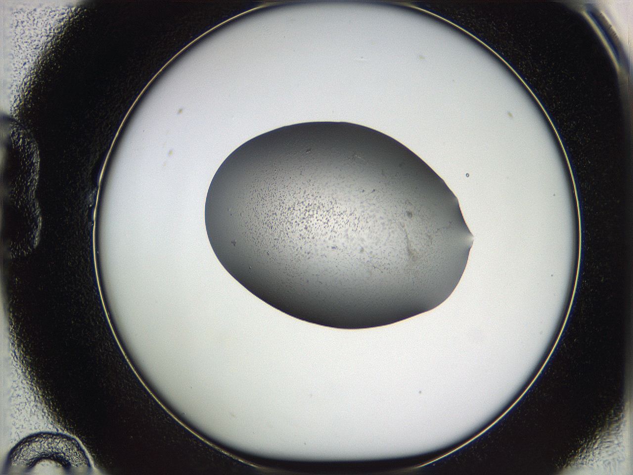 05vy_B10_ImagerDefaults_3.jpg