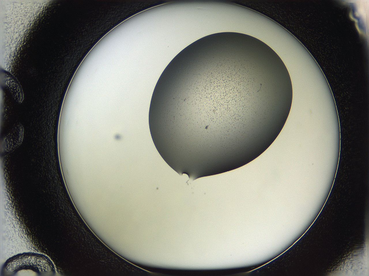 05vy_C12_ImagerDefaults_3.jpg