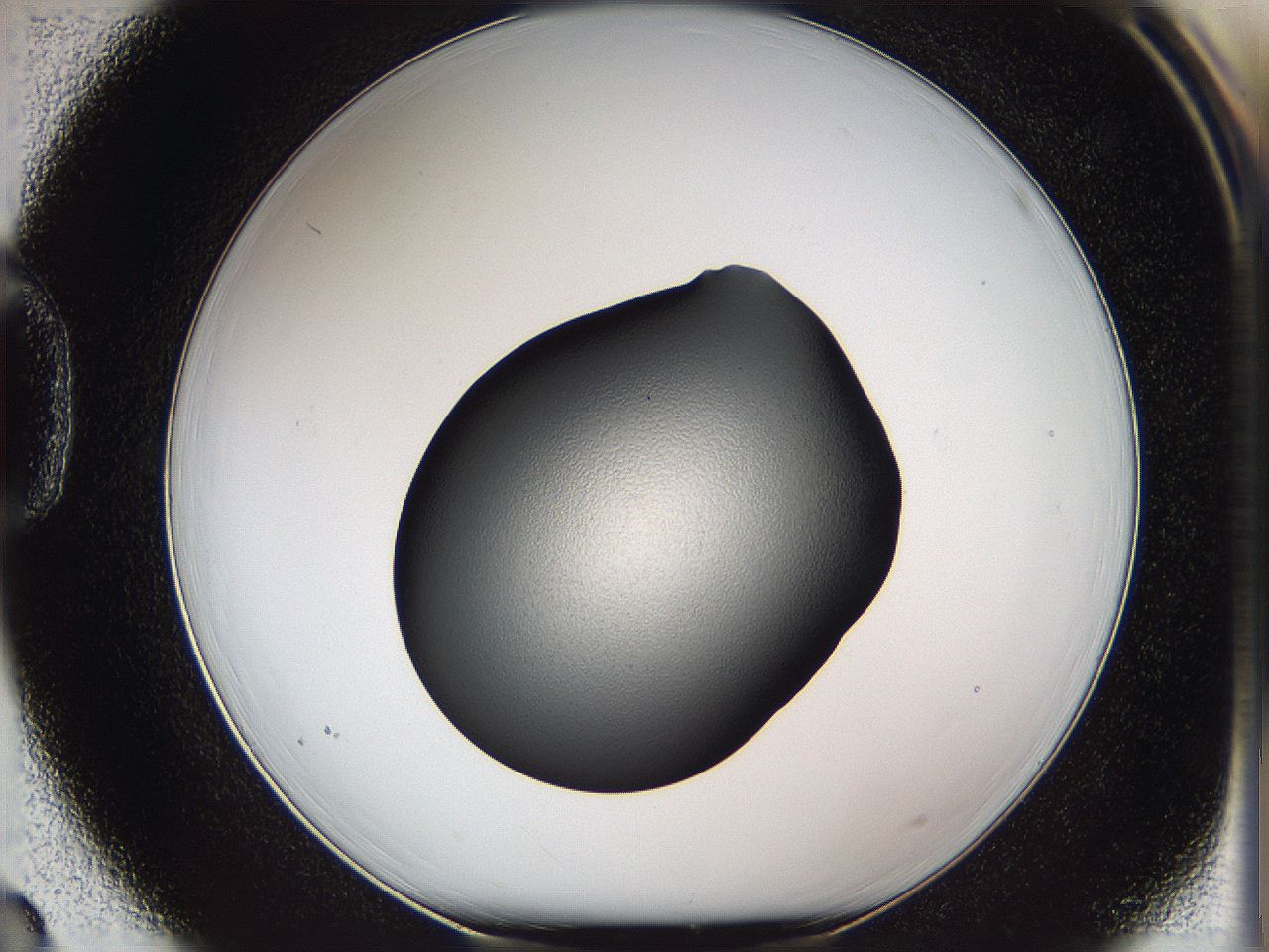 05vy_D3_ImagerDefaults_2.jpg