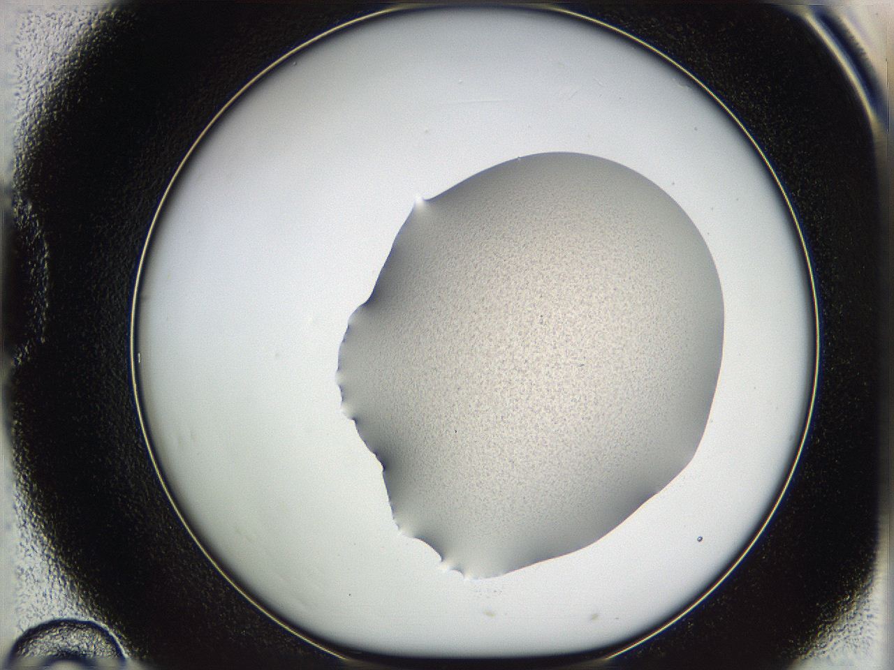 05vy_D10_ImagerDefaults_3.jpg