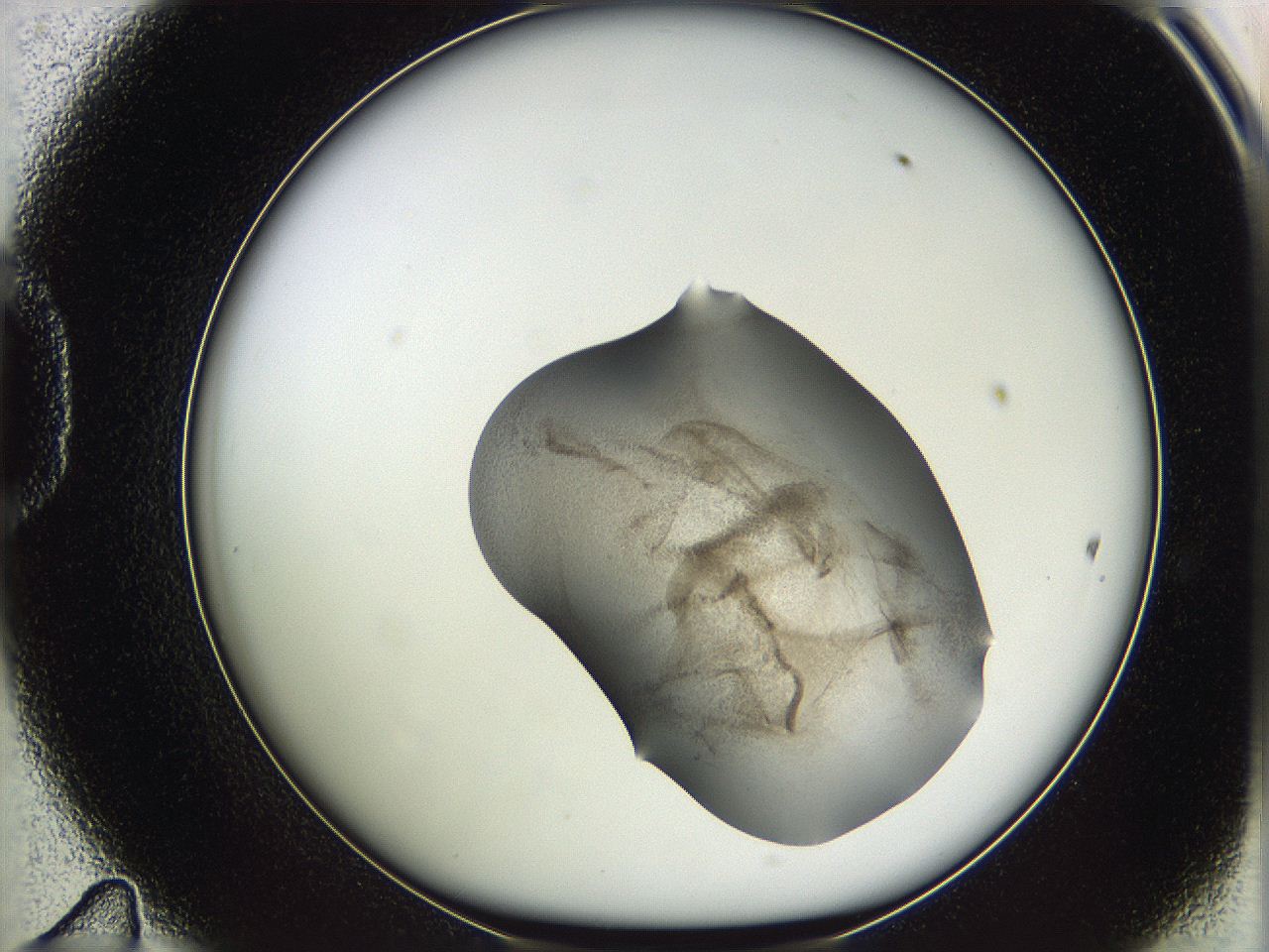 05vy_D11_ImagerDefaults_3.jpg