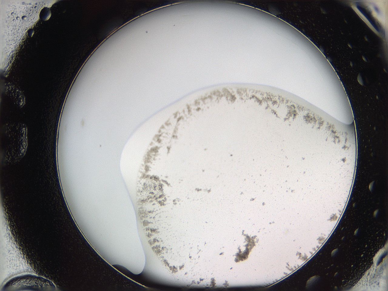 05vy_G12_ImagerDefaults_3.jpg