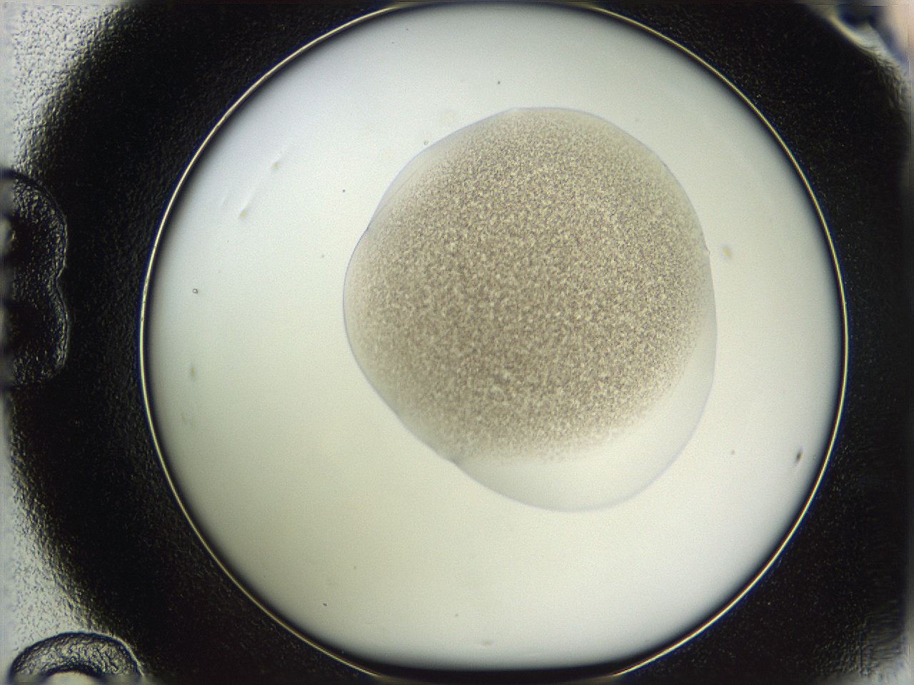 05vz_B12_ImagerDefaults_3.jpg