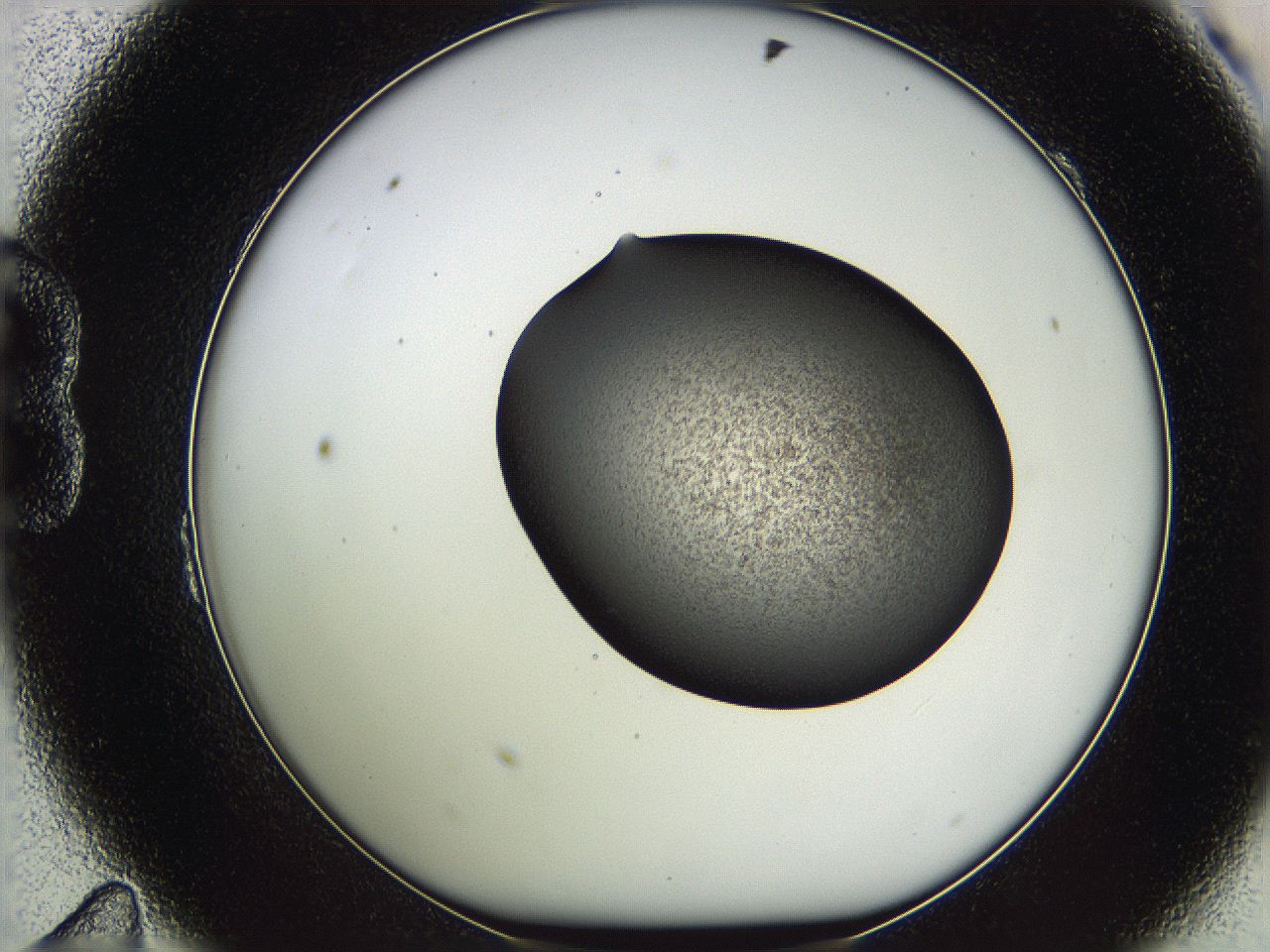 05vz_B11_ImagerDefaults_3.jpg