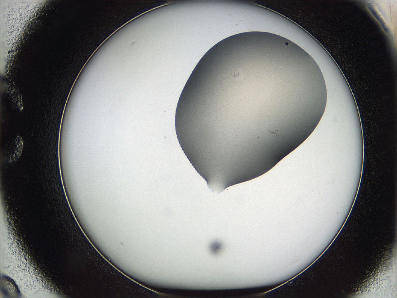 05vz_C9_ImagerDefaults_1.jpg