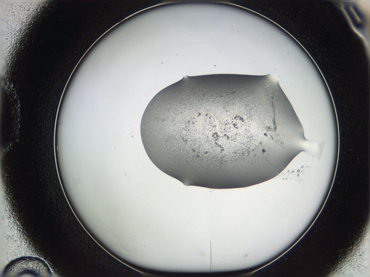 05vz_D10_ImagerDefaults_3.jpg