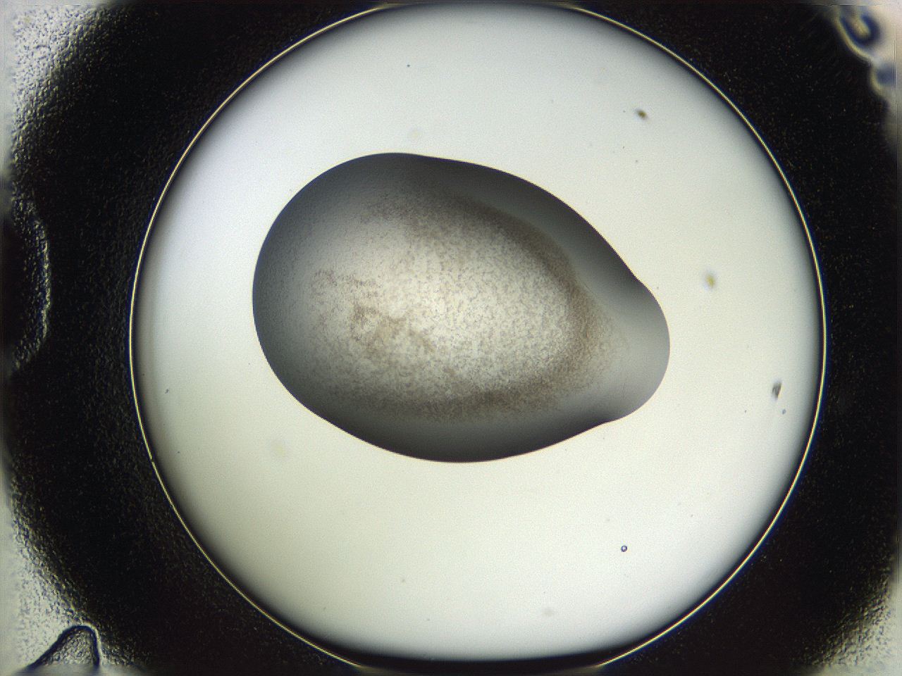 05vz_D11_ImagerDefaults_3.jpg