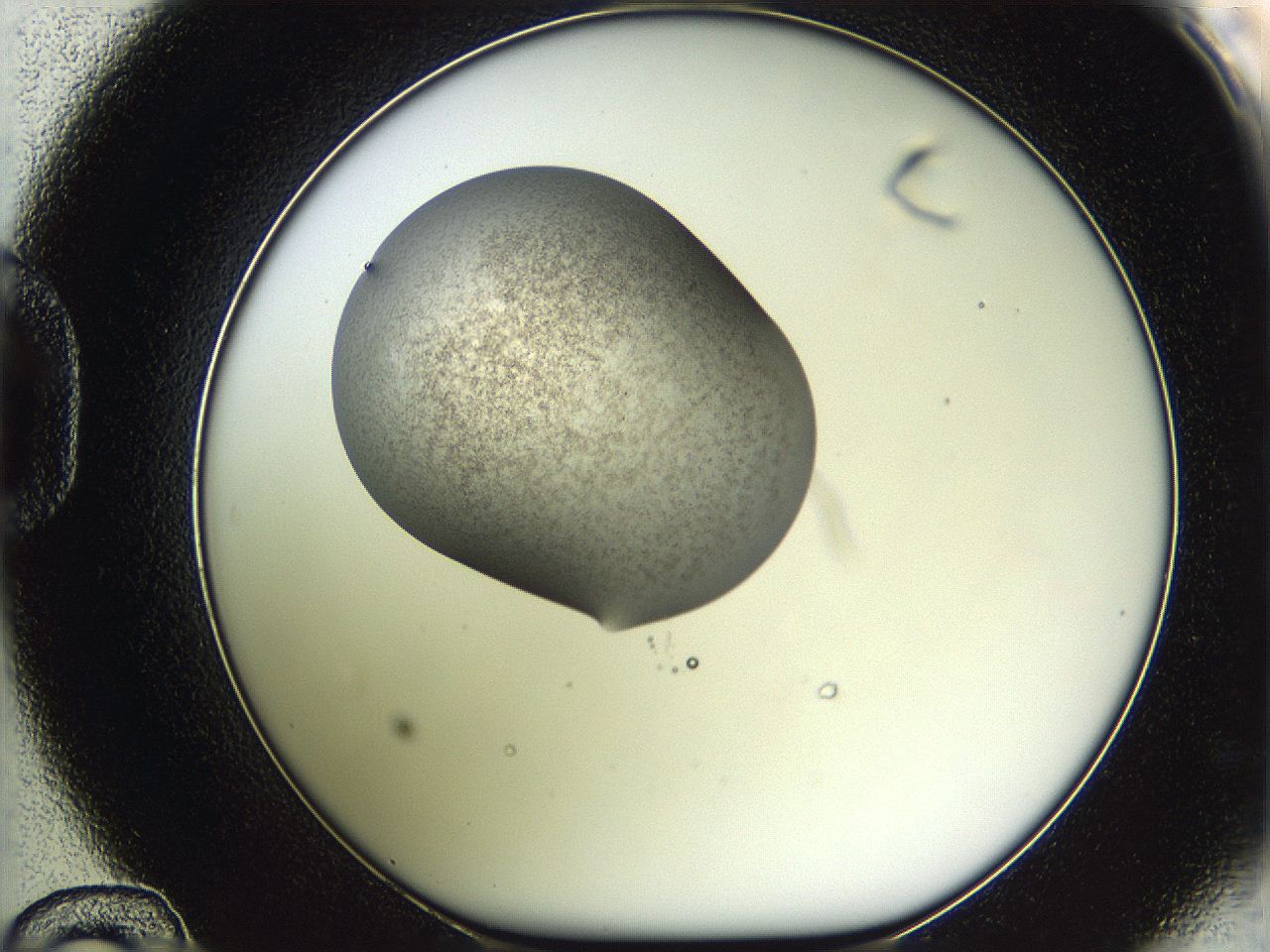 05vz_D12_ImagerDefaults_3.jpg