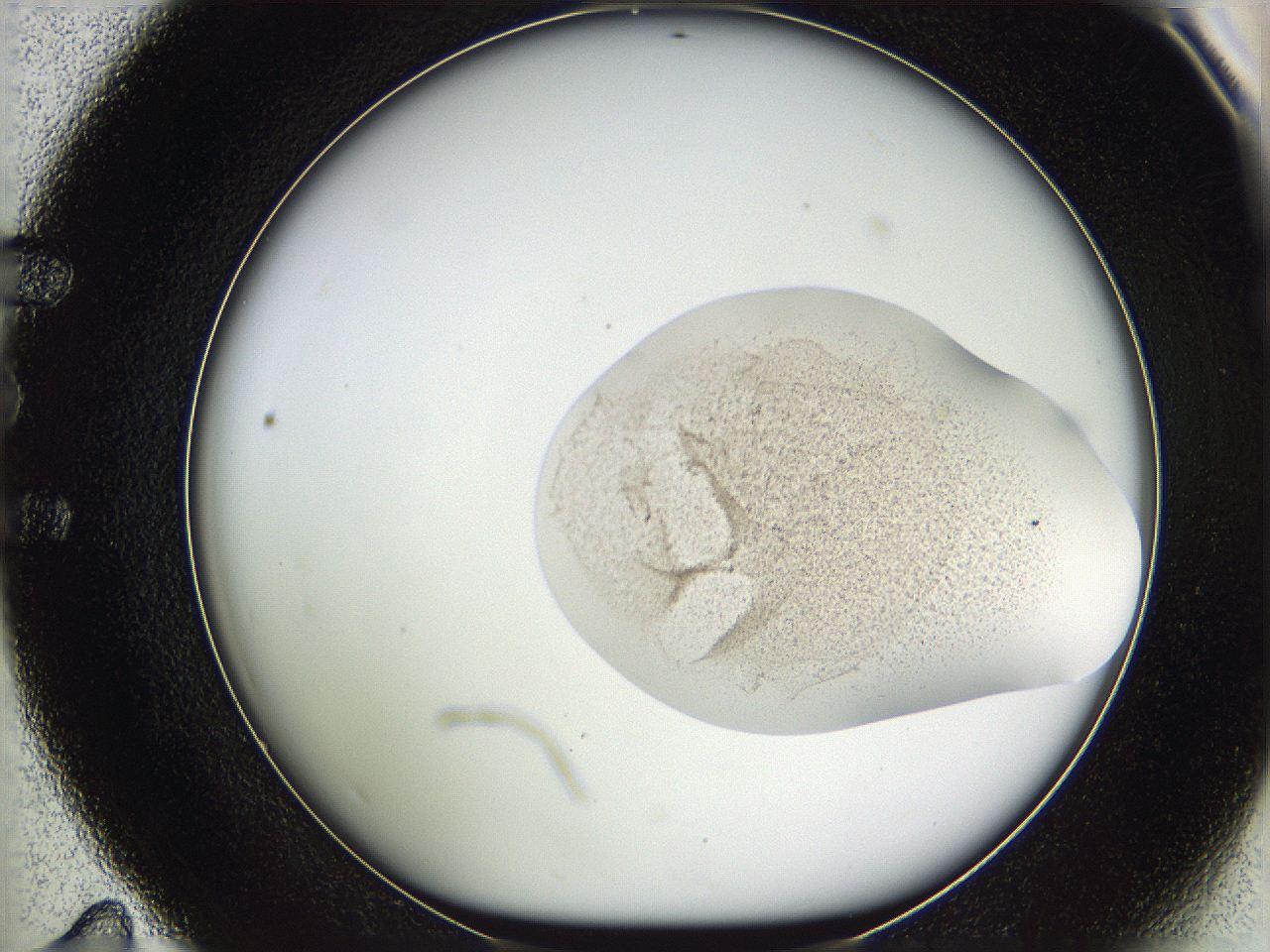 05vz_E11_ImagerDefaults_3.jpg