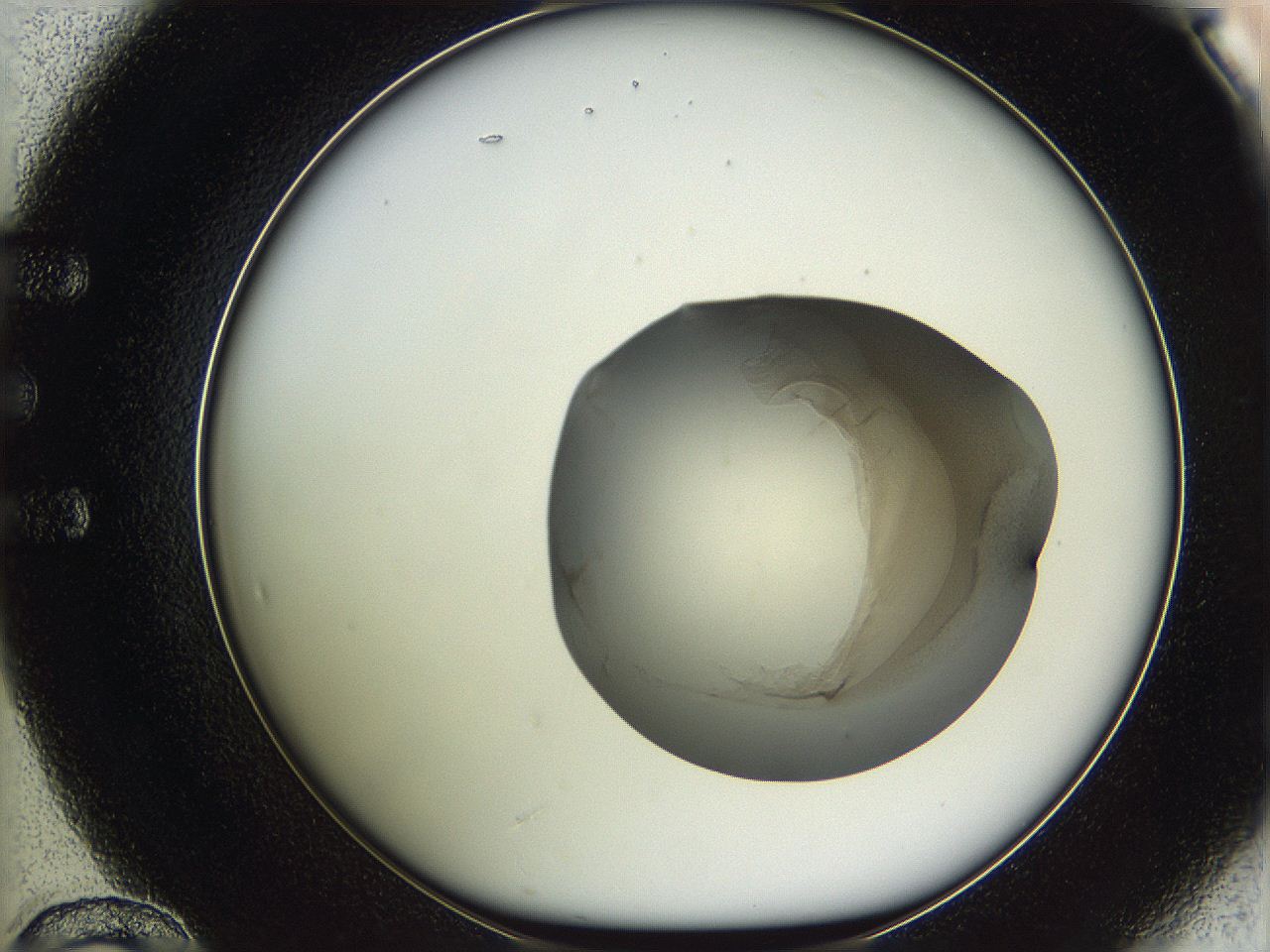 05vz_E12_ImagerDefaults_3.jpg