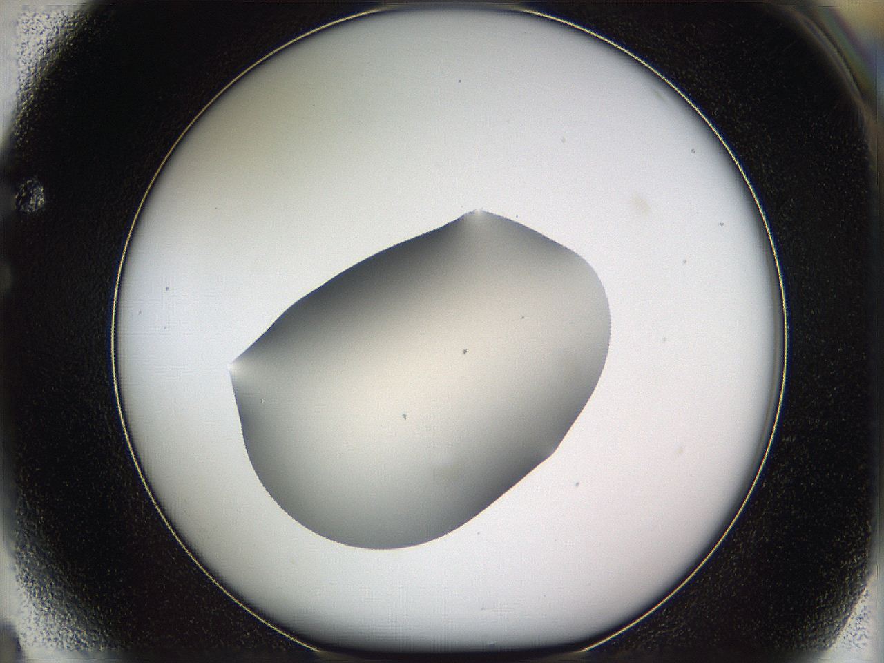 05vz_F4_ImagerDefaults_1.jpg