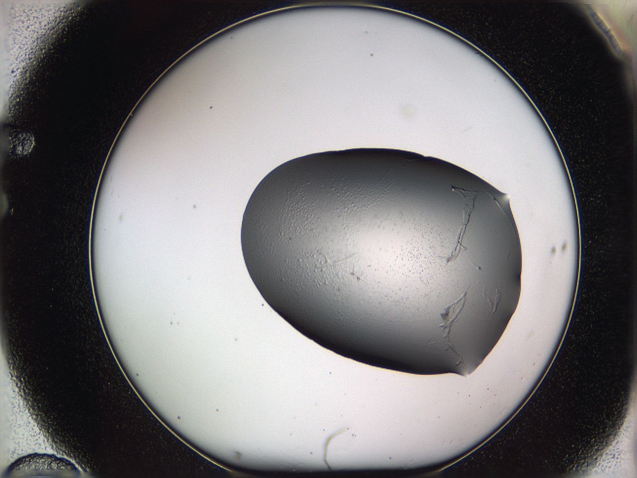 05vz_F10_ImagerDefaults_2.jpg