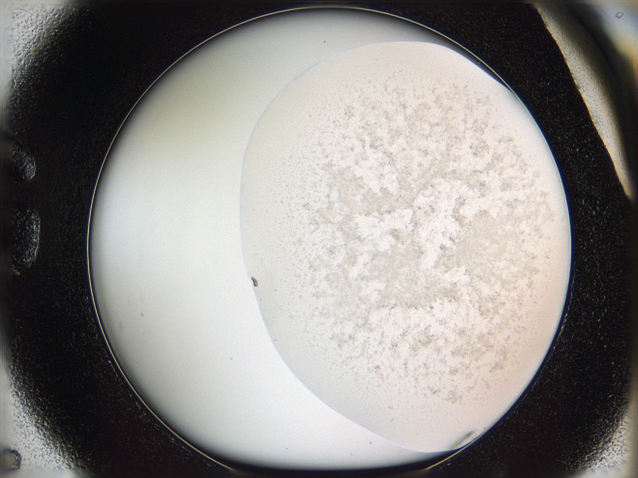 05vz_G5_ImagerDefaults_3.jpg