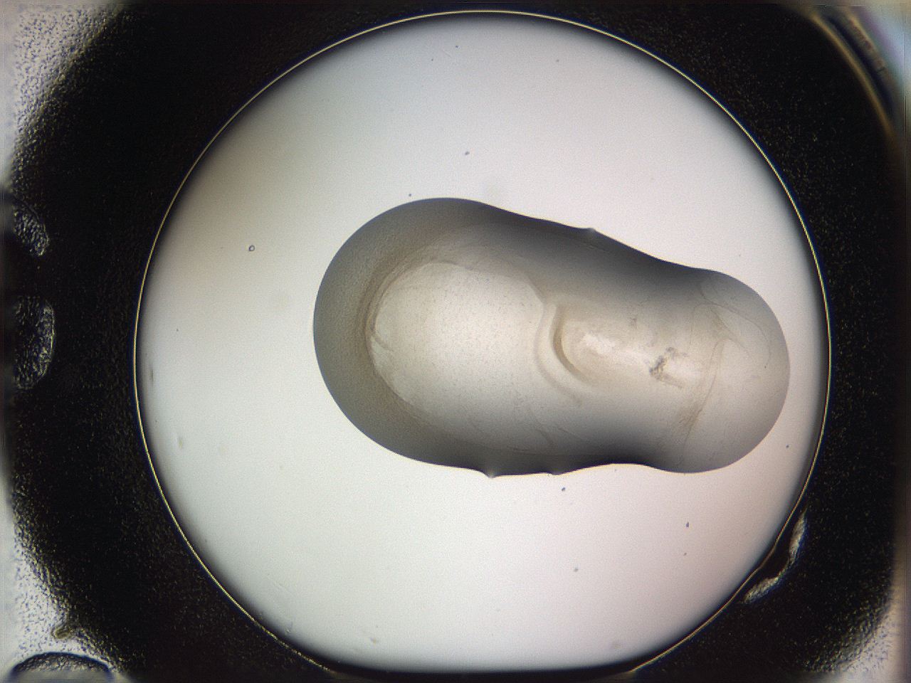 05vz_G10_ImagerDefaults_3.jpg