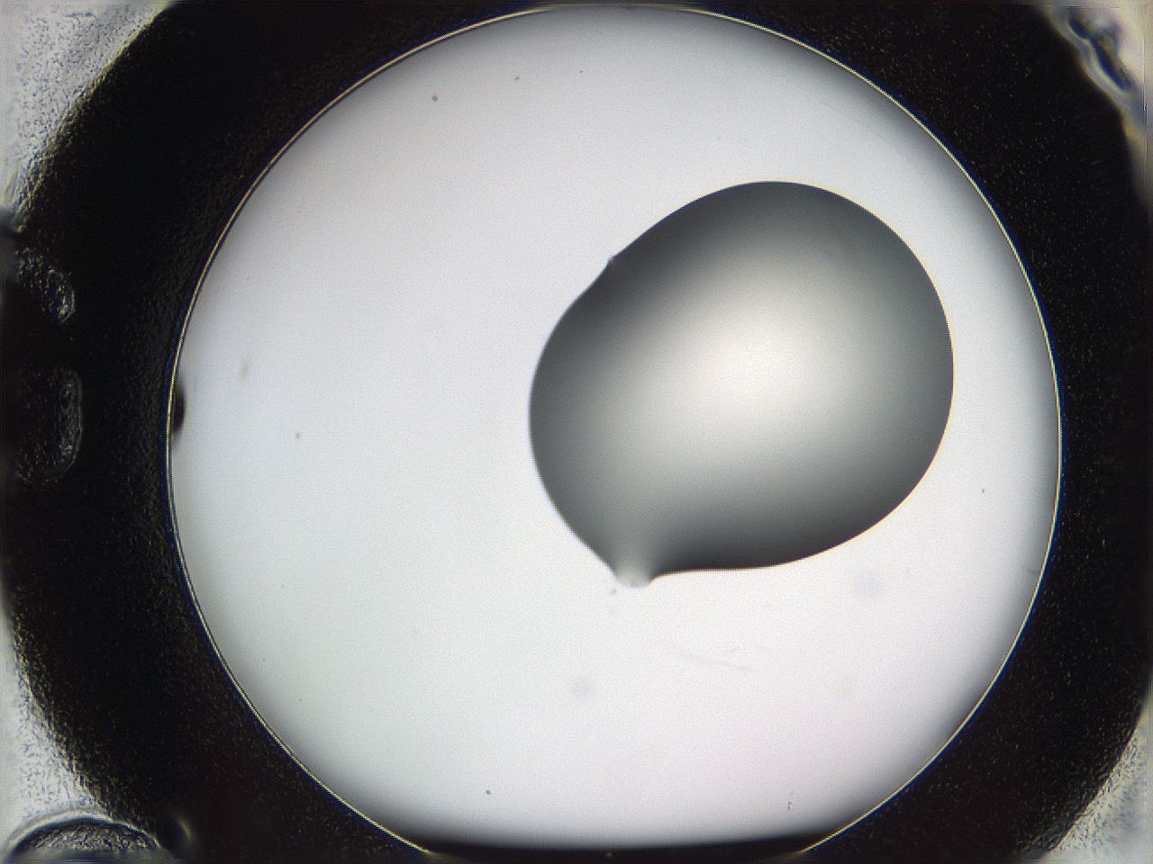 05vz_G12_ImagerDefaults_1.jpg