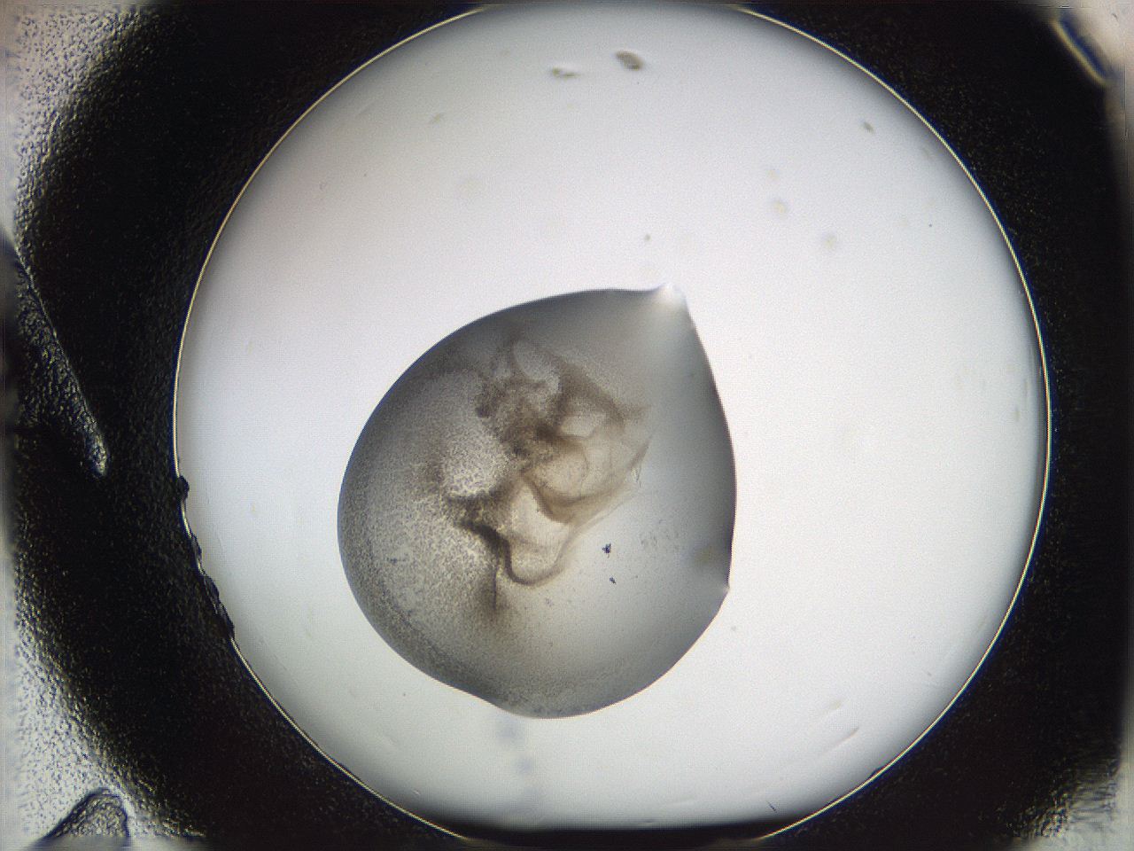 05w0_A11_ImagerDefaults_3.jpg