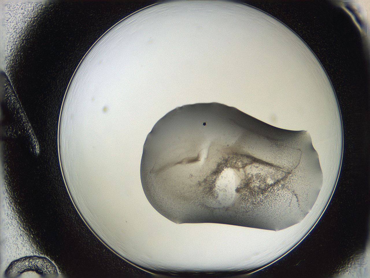 05w0_A12_ImagerDefaults_3.jpg