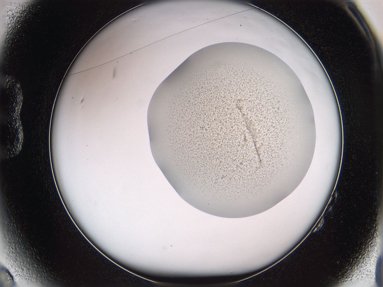 05w0_B2_ImagerDefaults_3.jpg